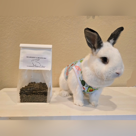 MARSHY's MANURE NATURAL GARDENING FERTILIZER - Picture 3 of 16